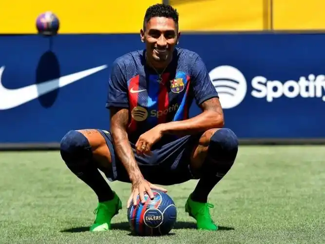 的德国杯赛 的德国杯赛